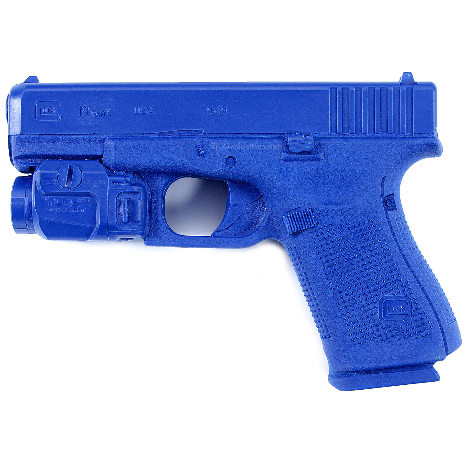 BG-FSG19G5-TLR7-1