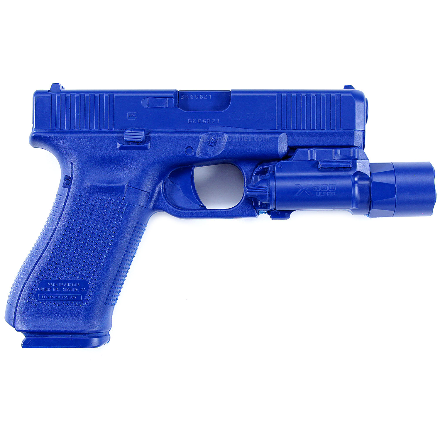 BG-FSG45-X300U-1