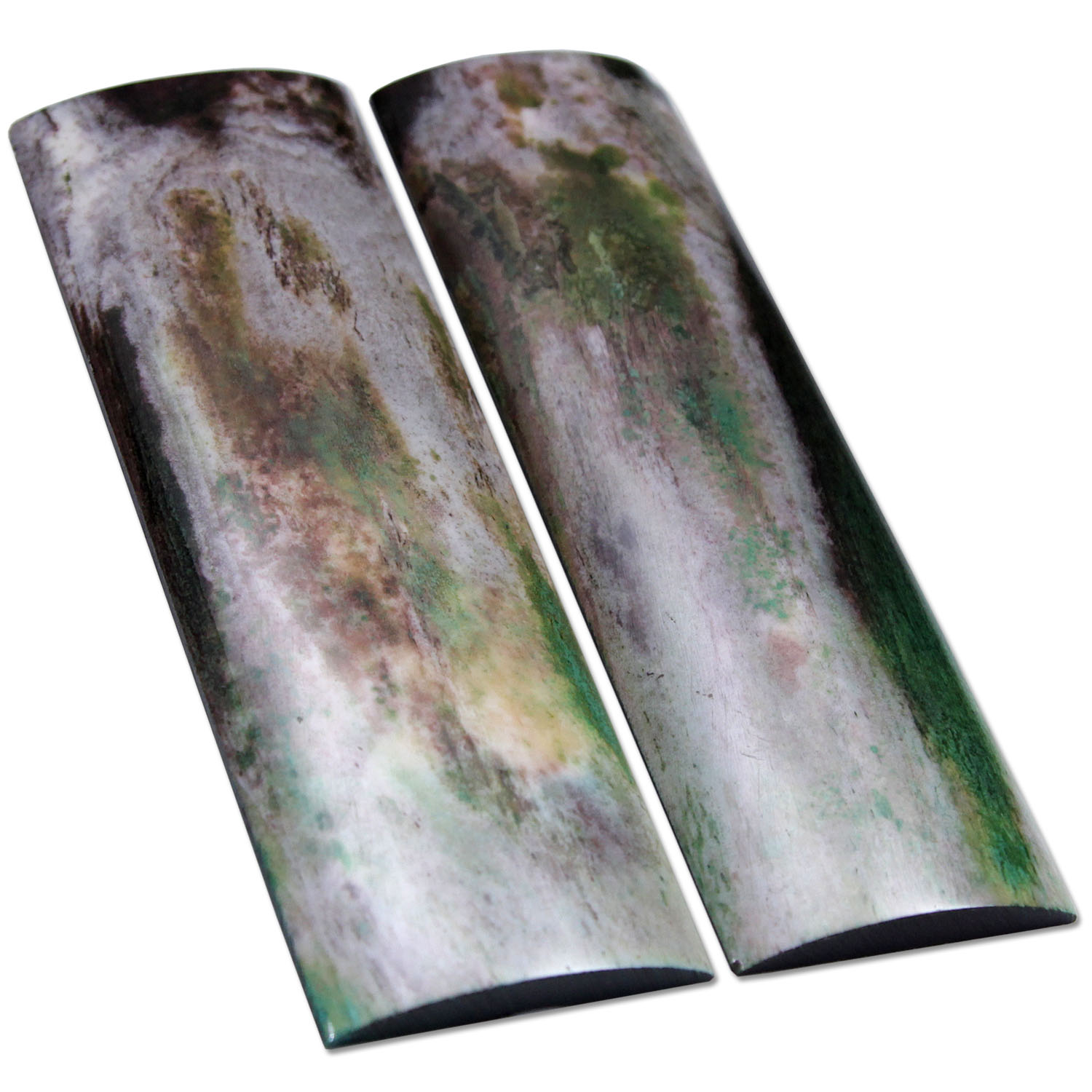 Camel Bone - Scale Set - (Smooth Radius) - (Double-Dyed: Green/Brown) - (5.0 x 1.5 x 0.25)