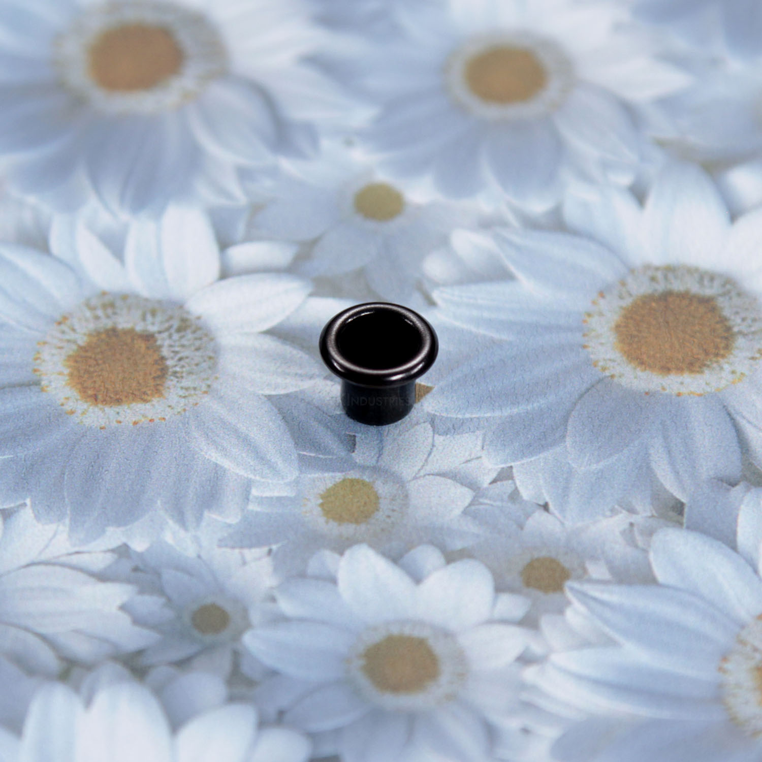 KYSHE-I-MODDAISY-08